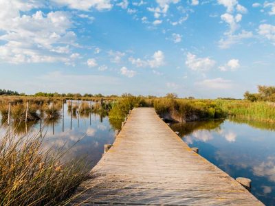 Magnifique vue sur la Camargue